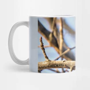 Junco No.4 Mug